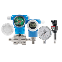 Pressure Gauge Series
