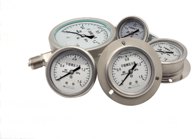 304 stainless steel pressure gauge series