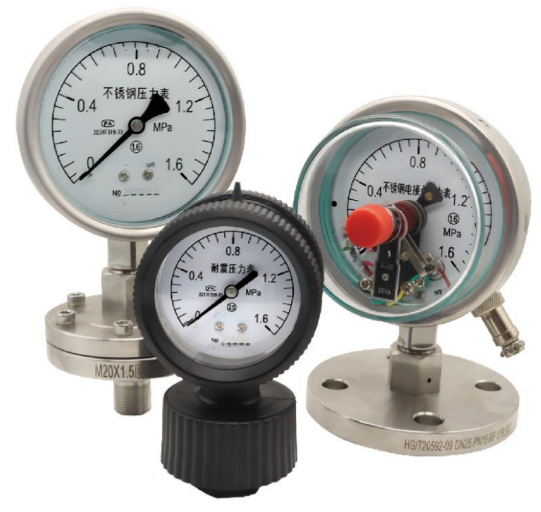 diaphragm pressure gauge series