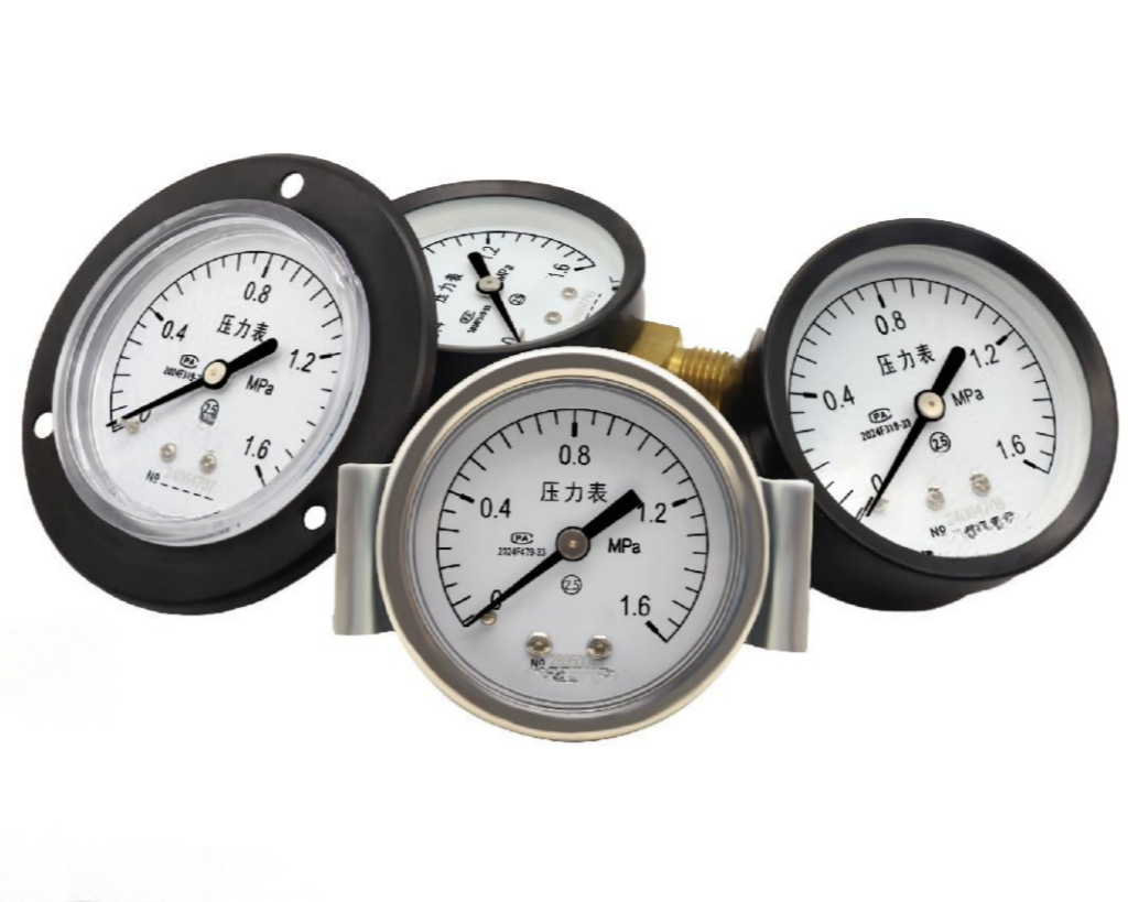 standard pressure gauge series