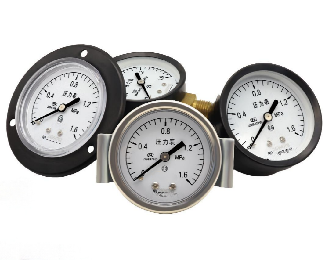 standard pressure gauge series