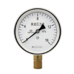 ø100 radial diaphragm pressure gauge
