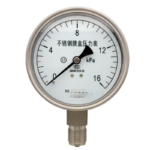 ø100 radial stainless steel diaphragm pressure gauge (all steel)