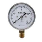 ø60 radial diaphragm pressure gauge