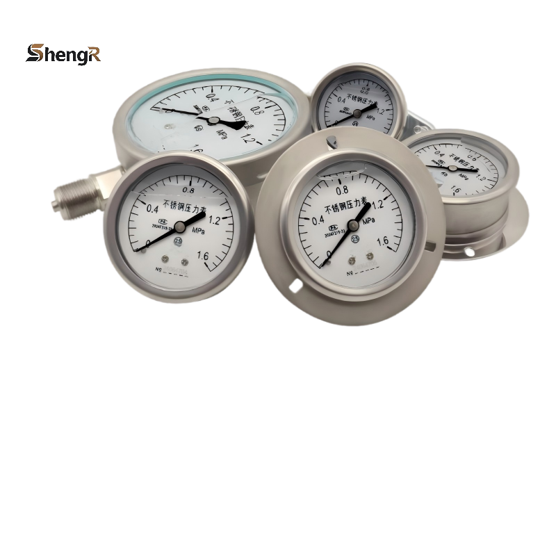 304 Stainless Steel Pressure Gauge Series