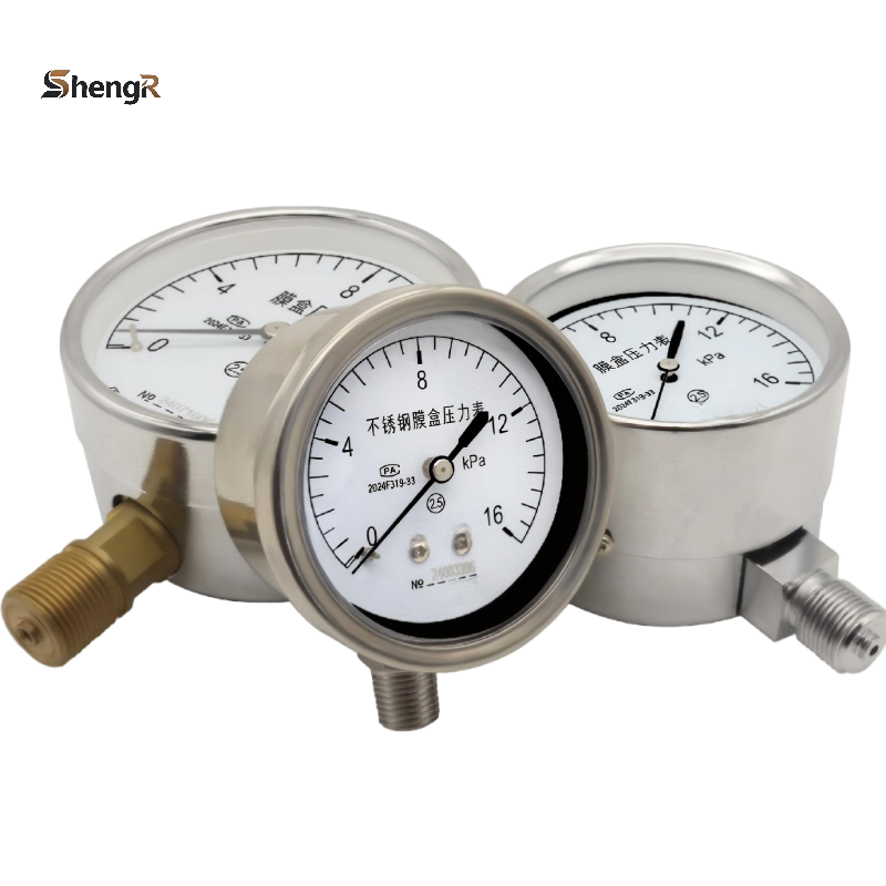 Diaphragm Capsule Pressure Gauge Series