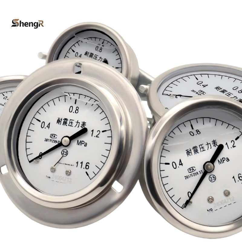Seismic Pressure Gauge Series